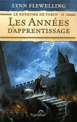 Le royaume de tobin Tome 2 ; les années d'apprentissage