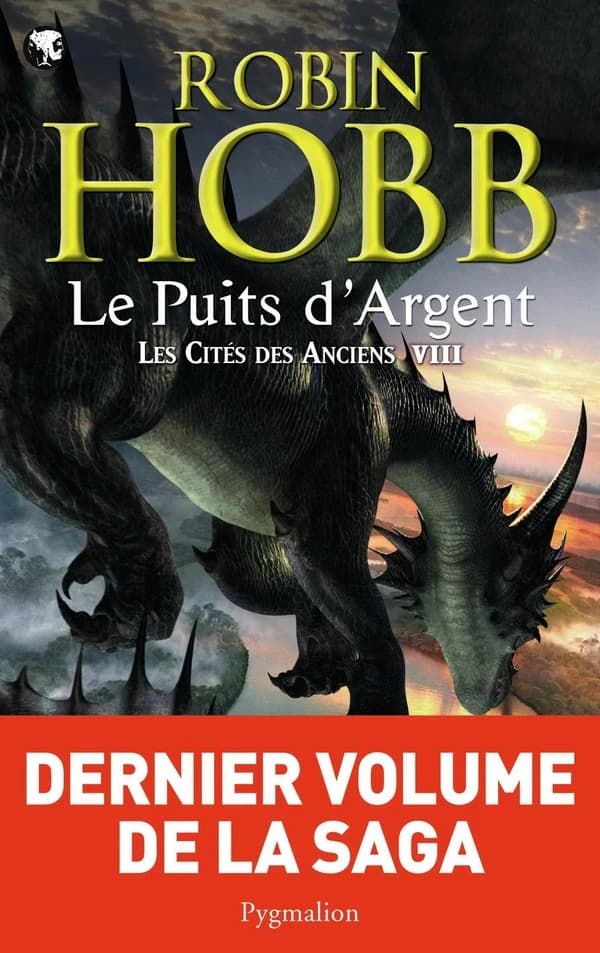 Le puits d'argent : roman
