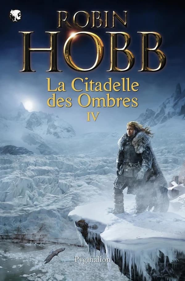 La citadelle des ombres : roman. IV