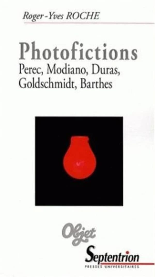 Photofictions : Perec, Modiano, Duras, Goldschmidt, Barthes