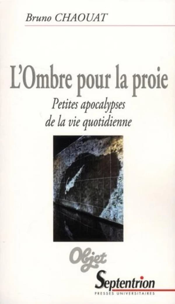 L'ombre pour la proie : petites apocalypses de la vie quotidienne