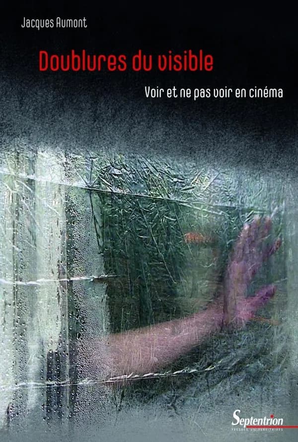 Doublures du visible : voir et ne pas voir en cinéma