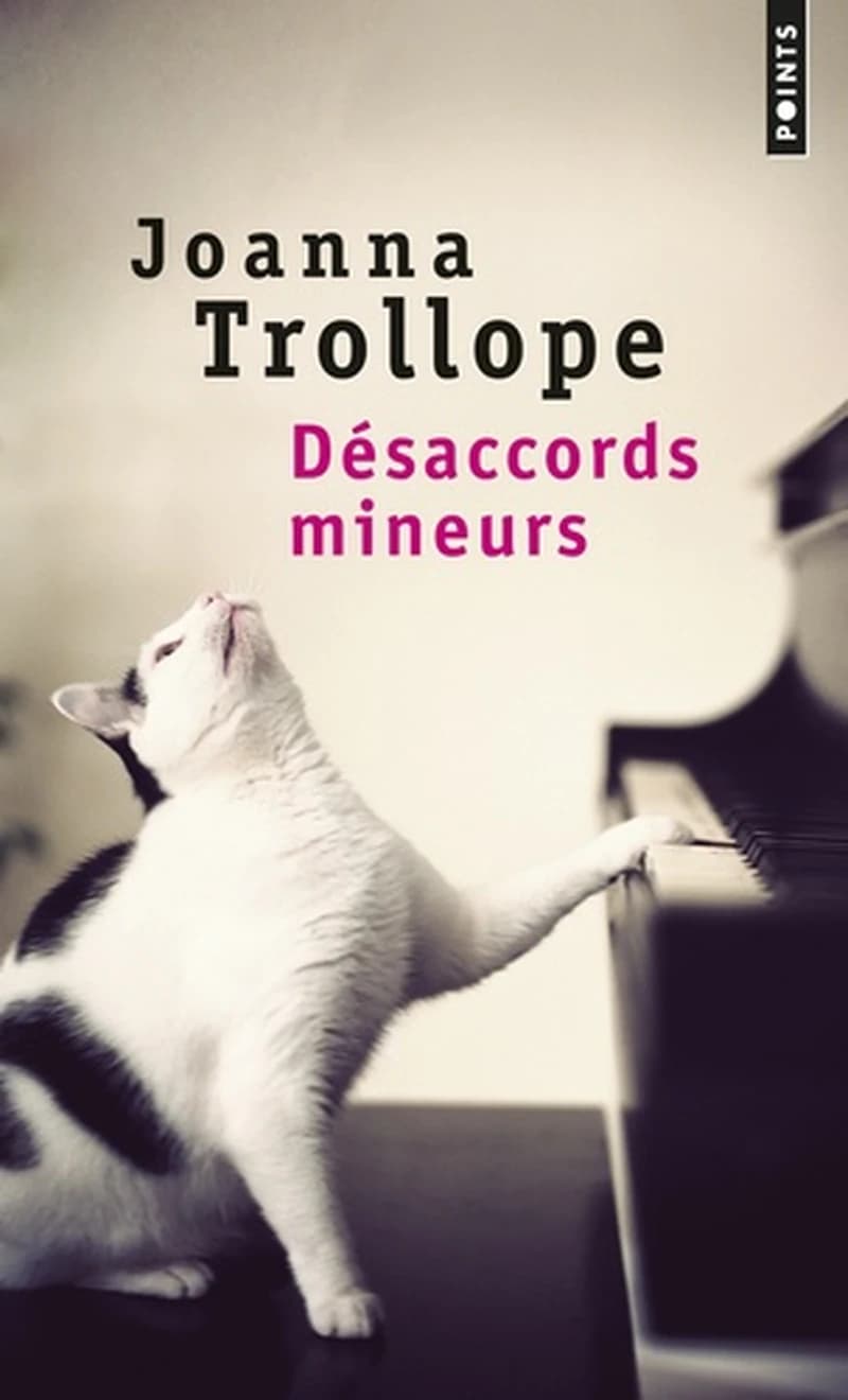 Désaccords mineurs : roman