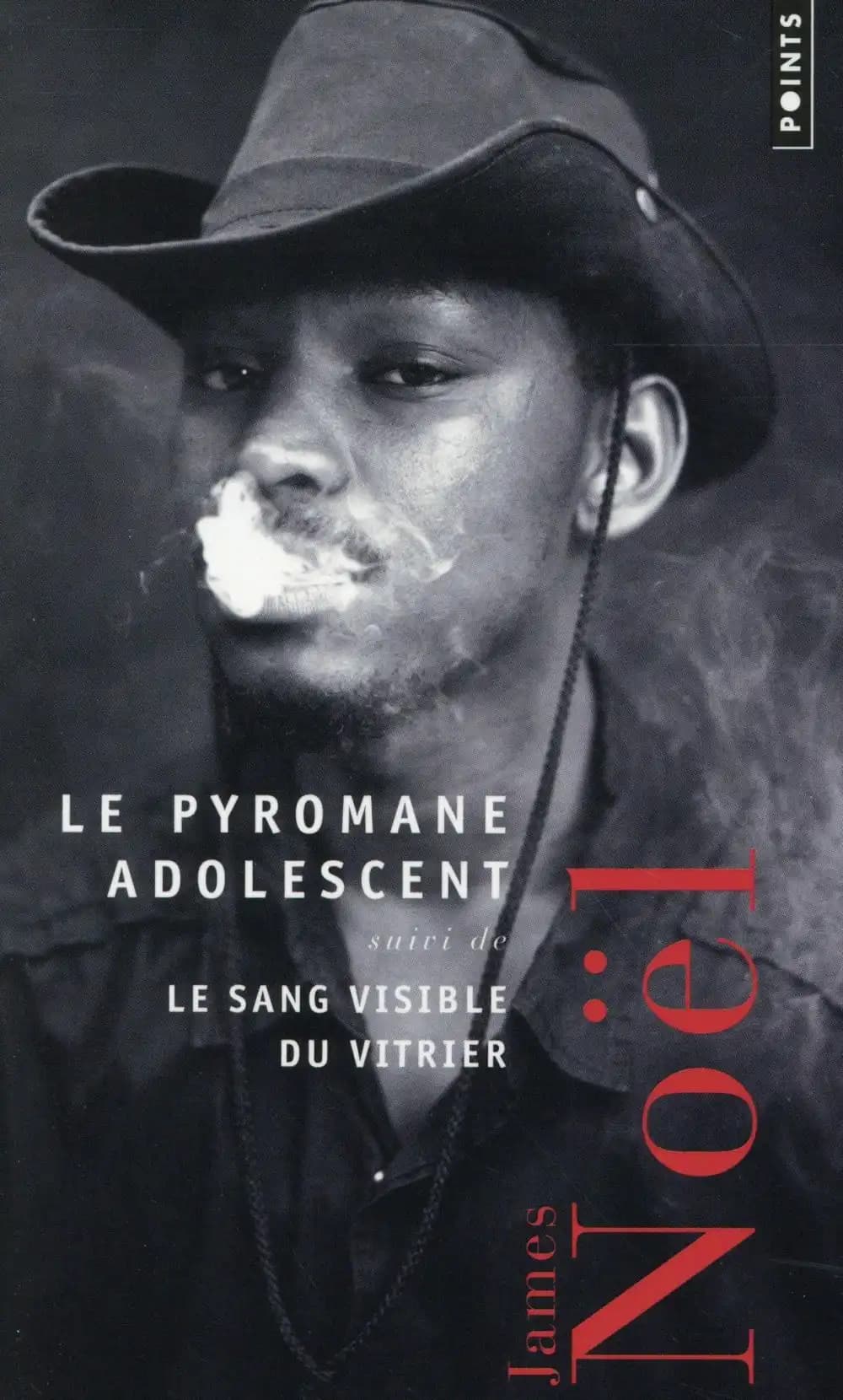 Le pyromane adolescent ; suivi de Le sang visible du vitrier