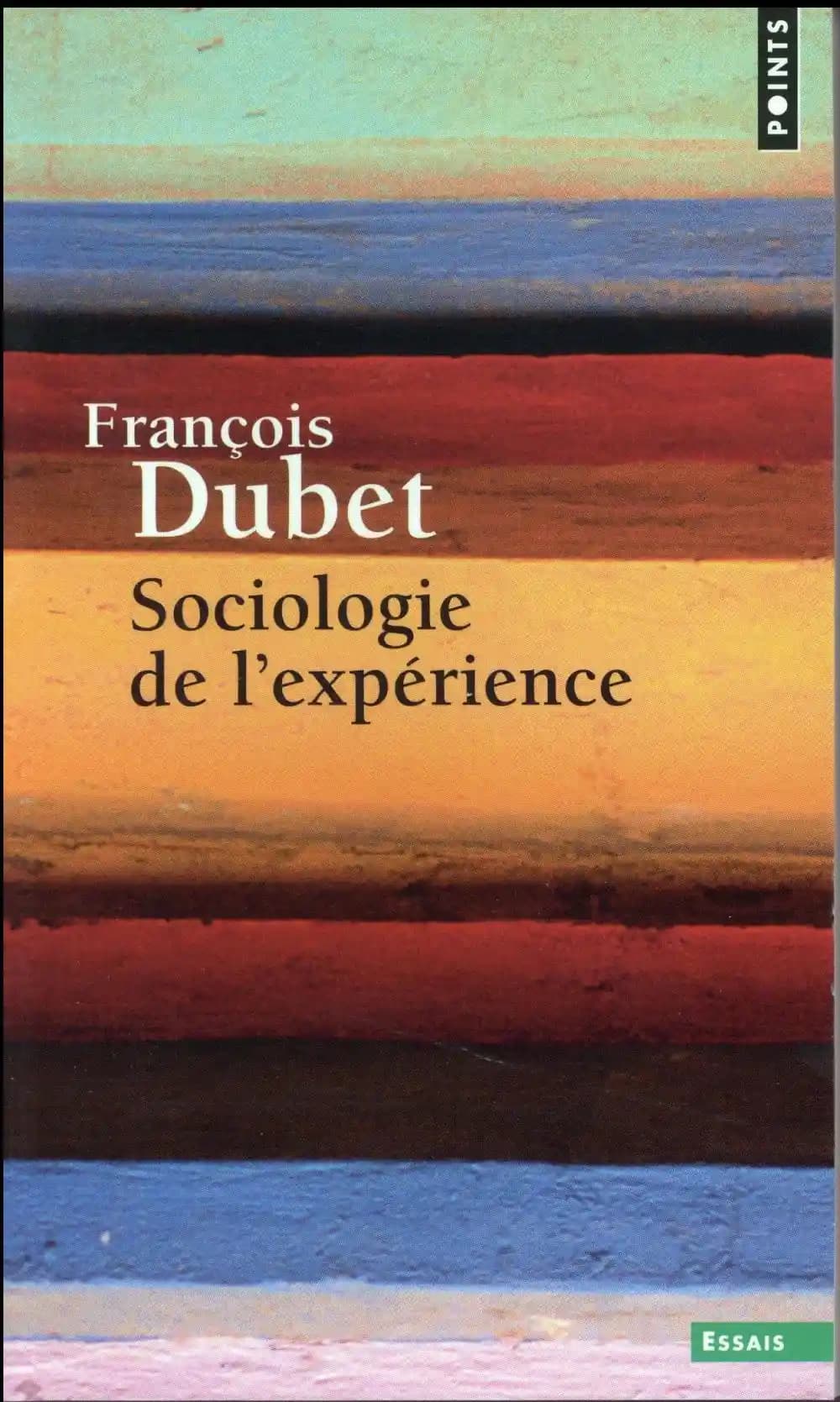 Sociologie de l'expérience