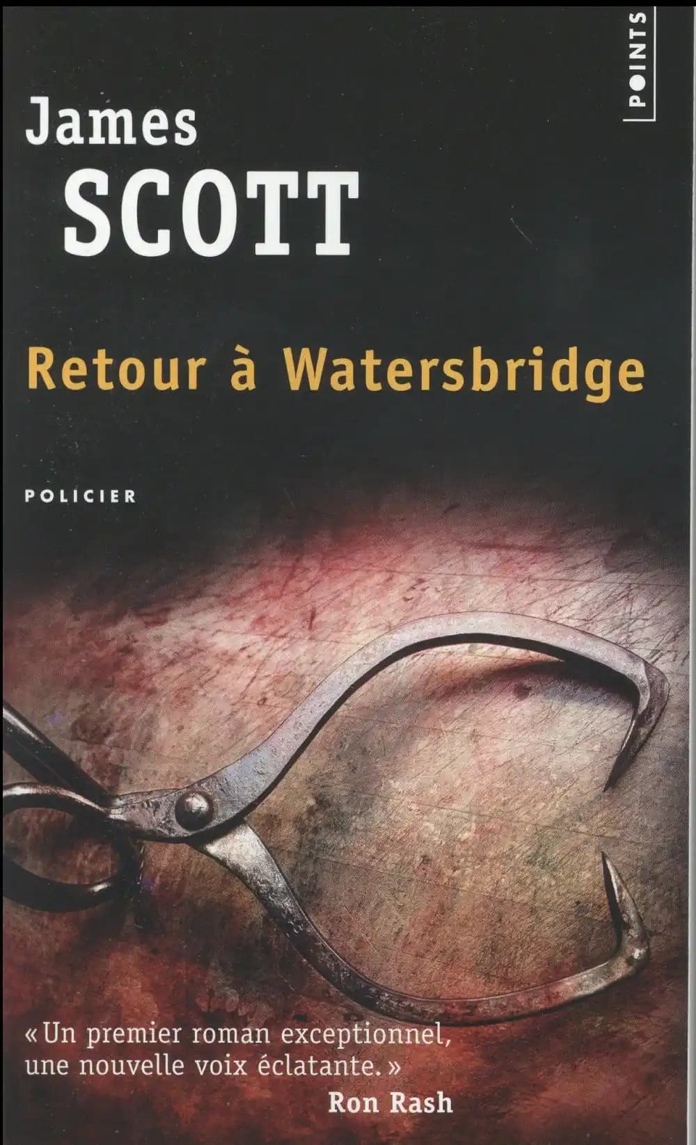 Retour à Watersbridge : roman