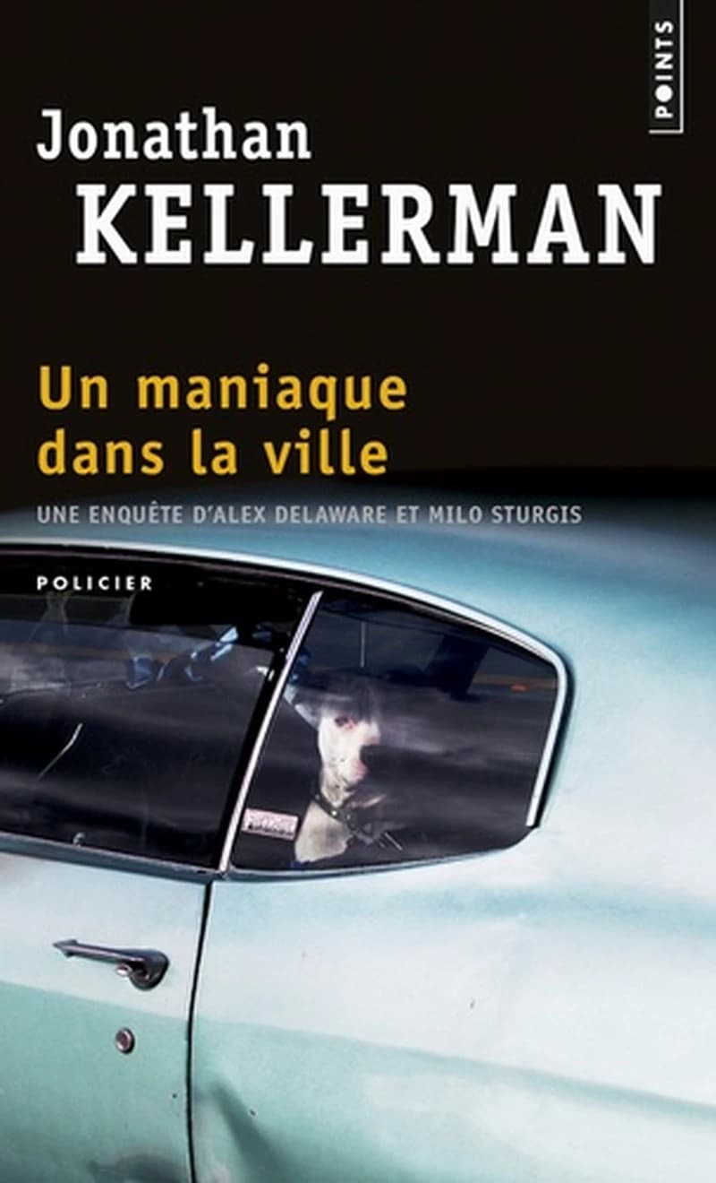 Un maniaque dans la ville : roman