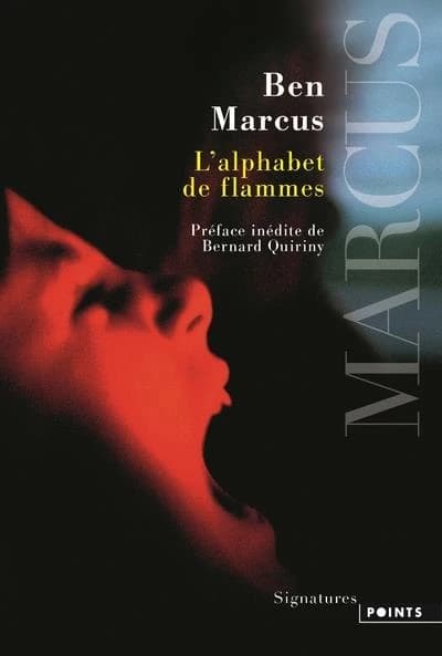 L'alphabet des flammes : roman