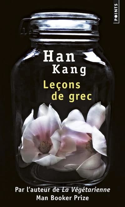Leçons de grec : roman
