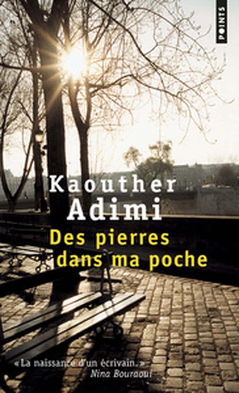Des pierres dans ma poche : roman
