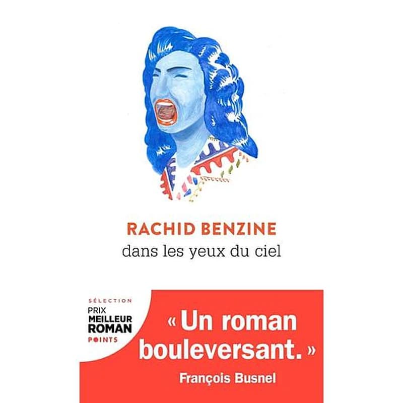 Dans les yeux du ciel : roman