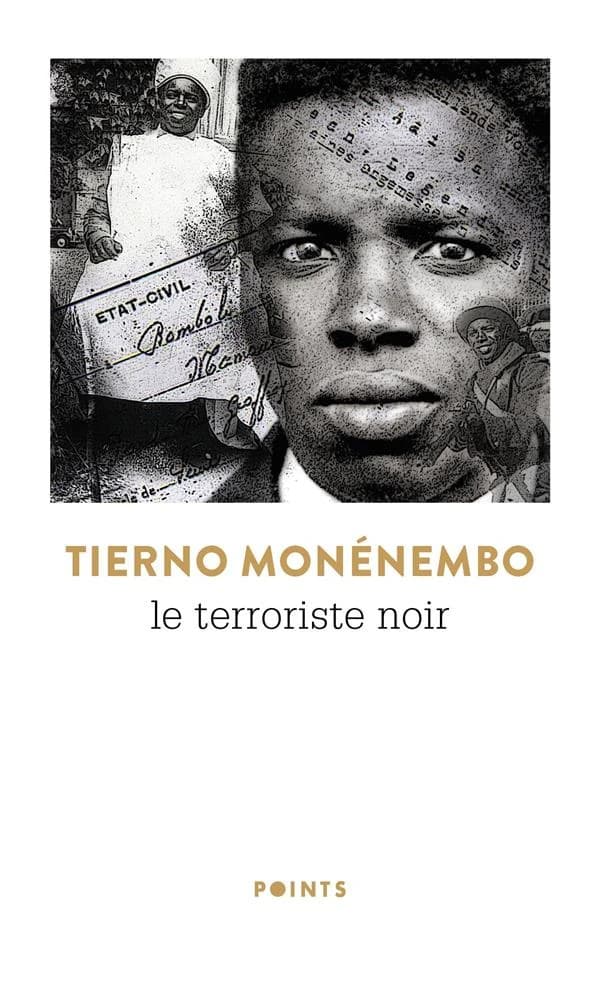 Le terroriste noir : roman