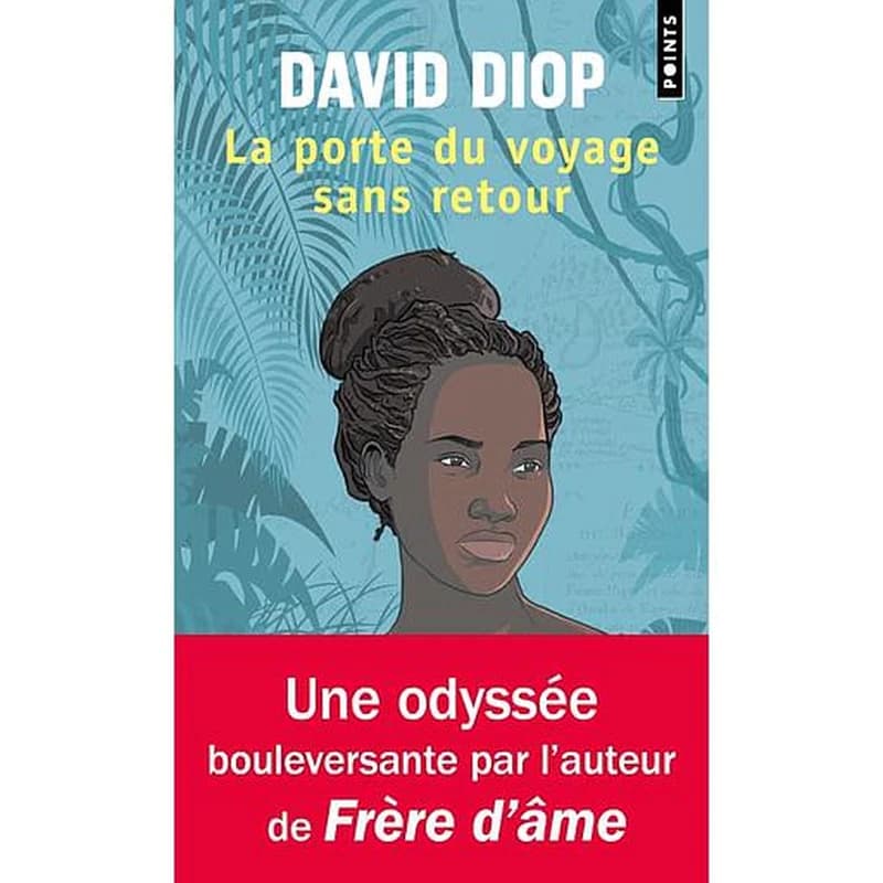 La porte du voyage sans retour : ou les cahiers secrets de Michel Adanson : roman