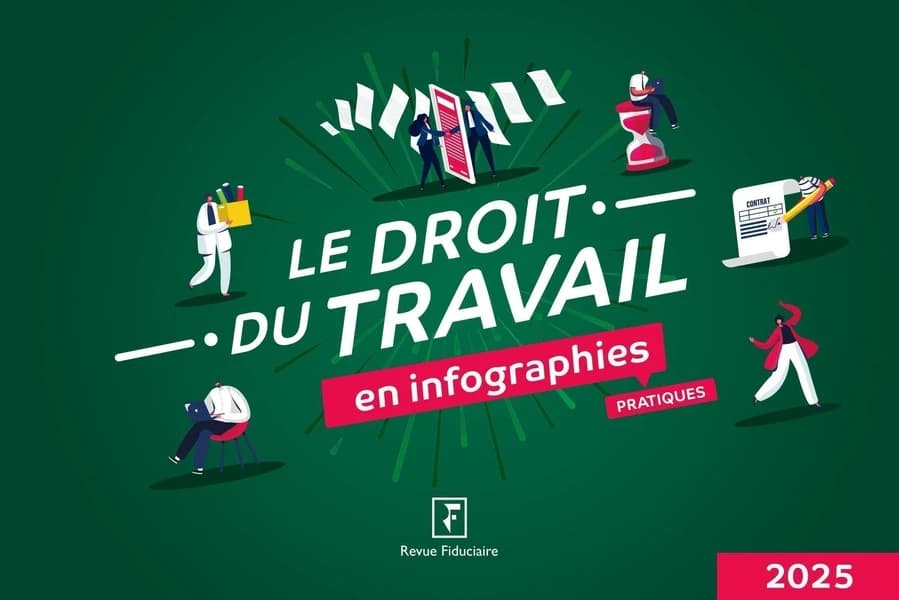 Le droit du travail en infographies pratiques (5e éd., 2025) "Revue fiduciaire" ; [réalisé sous la direction d'Yves de la Villeguérin]