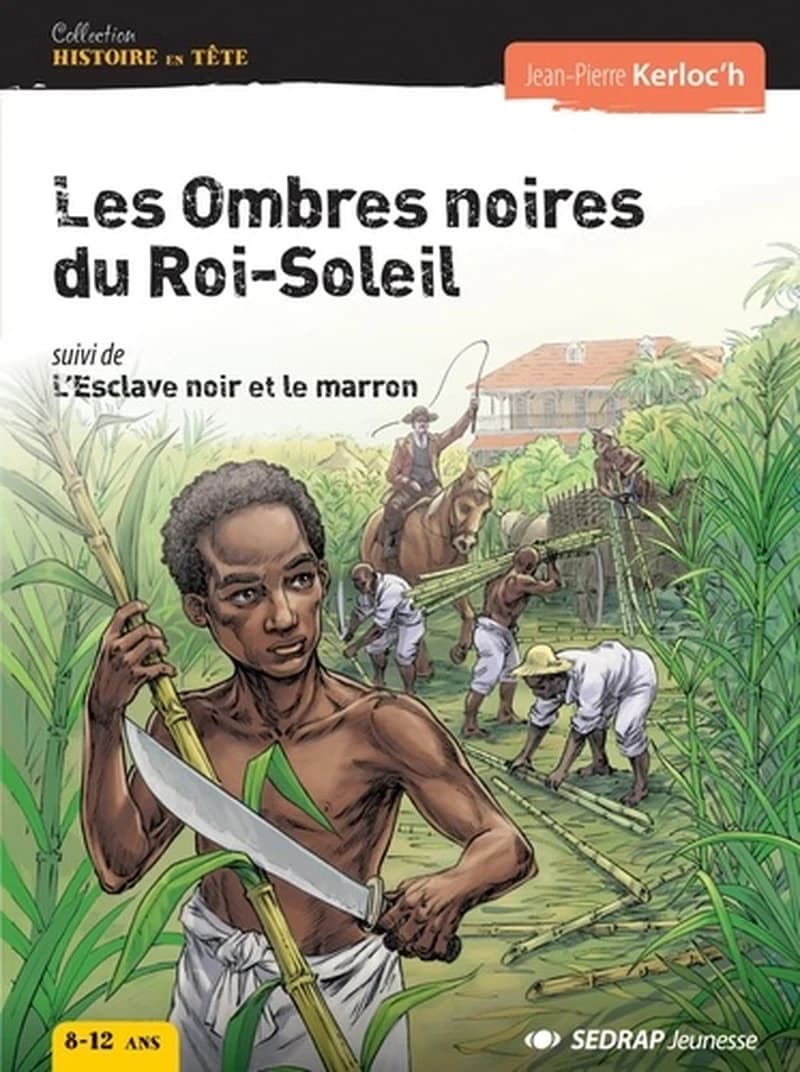 Les ombres noires du Roi-Soleil
