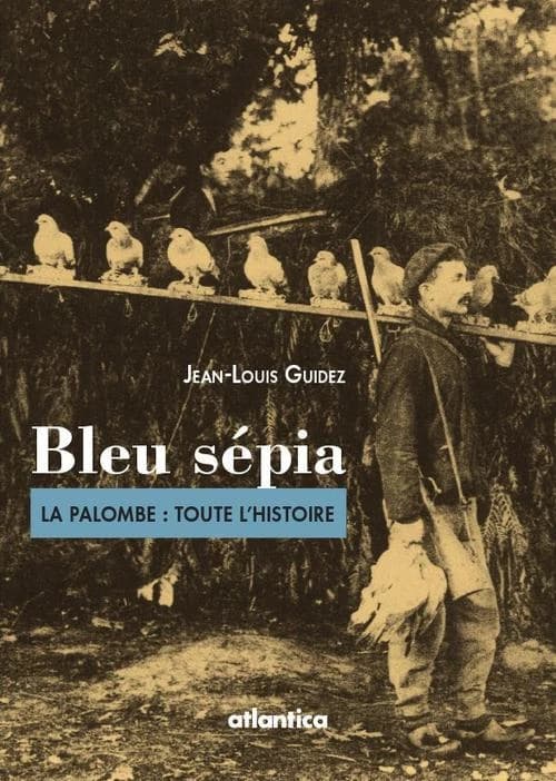 Bleu sépia : la palombe, toute l'histoire
