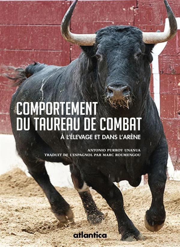 Comportement du taureau de combat : à l'élevage et dans l'arène