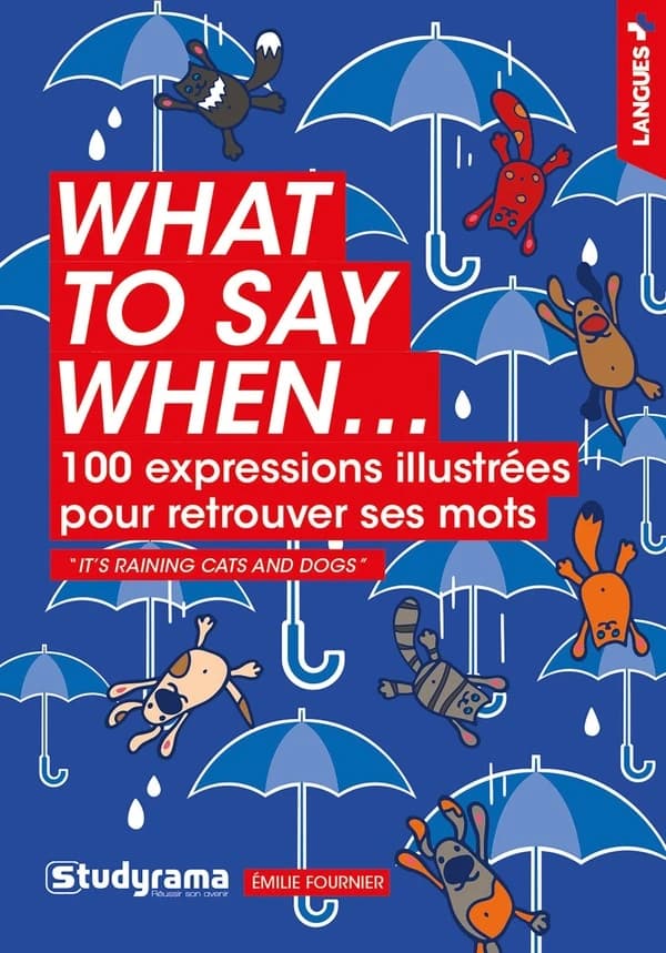 What to say when : 100 expressions illustrées pour retrouver ses mots