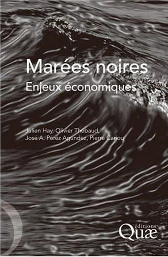 Marées noires, enjeux économiques