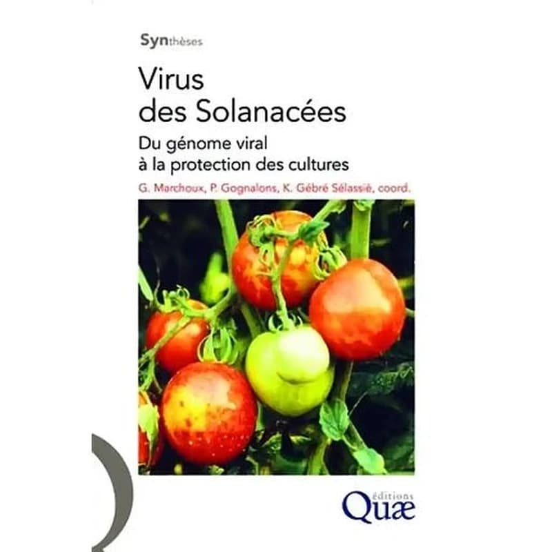 Virus des Solanacées