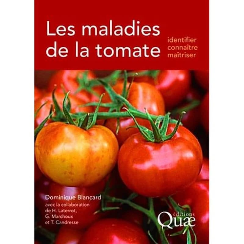 Les maladies de la tomate : identifier, connaître, maîtriser