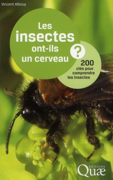 Les insectes ont-ils un cerveau ? : 200 clés pour comprendre les insectes