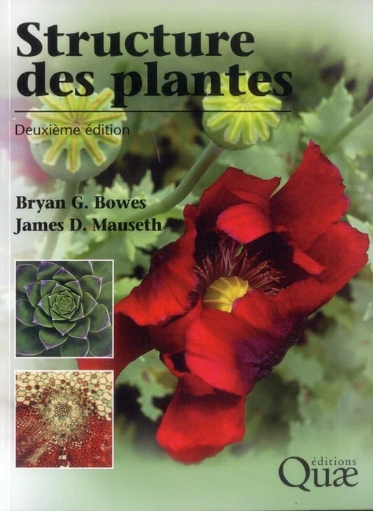 Structure des plantes (2e éd.) Bryan G. Bowes,... James D. Mauseth,... ; traduction française de Mickaël Legrand