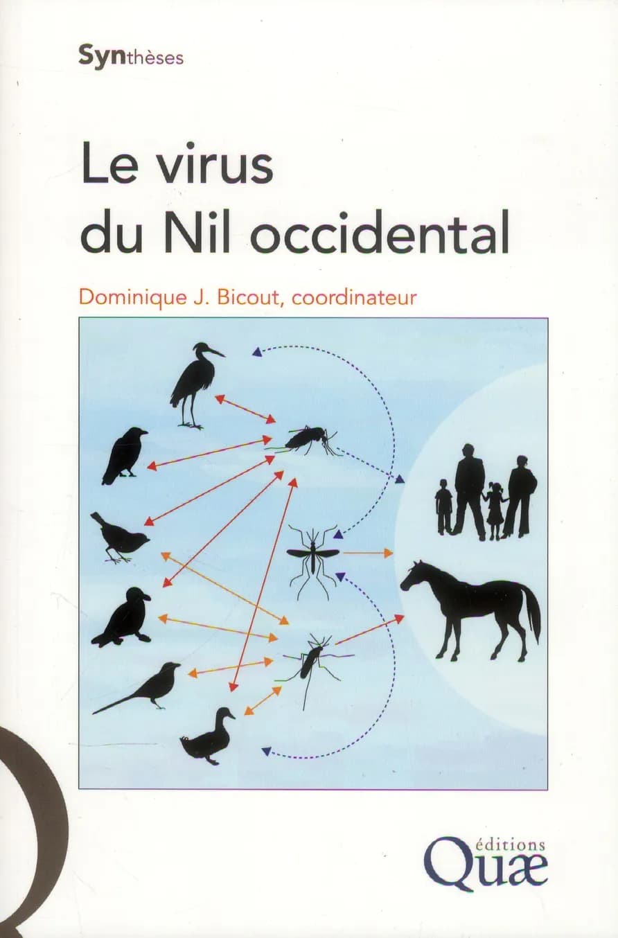 Le virus du Nil occidental
