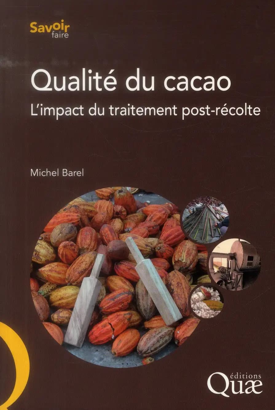 Qualité du cacao : l'impact du traitement post-récolte