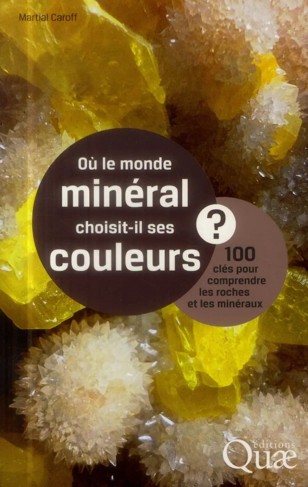 Où le monde minéral choisit-il ses couleurs ? : 100 clés pour comprendre les roches et les minéraux