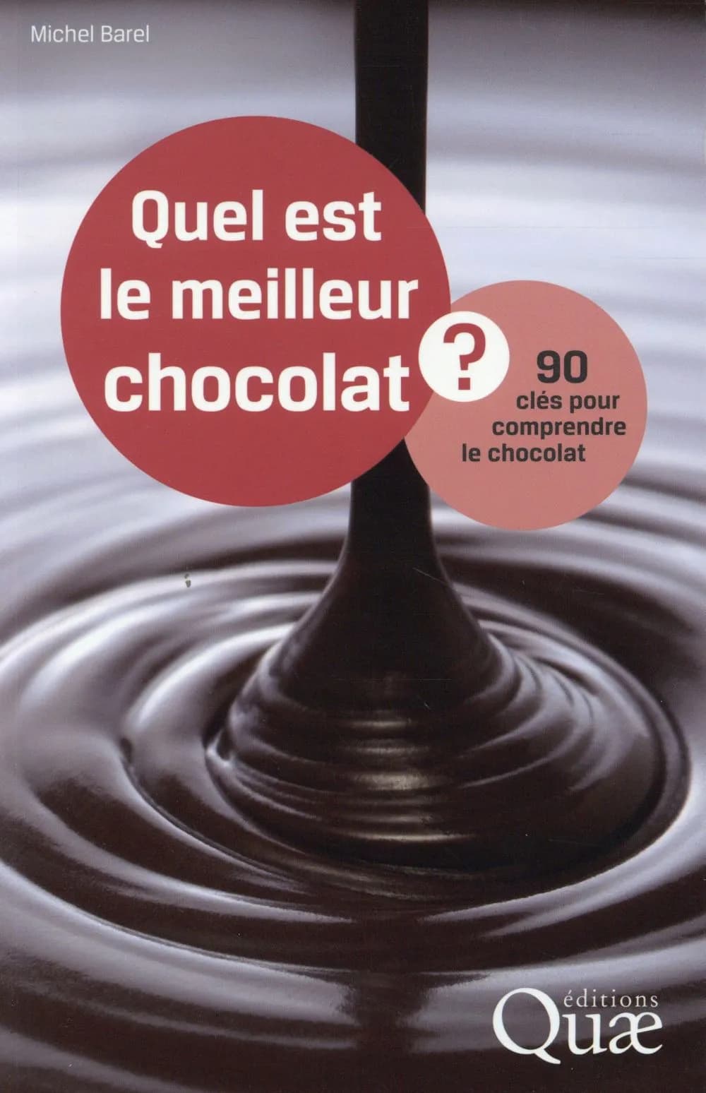 Quel est le meilleur chocolat ? : 90 clés pour comprendre le chocolat