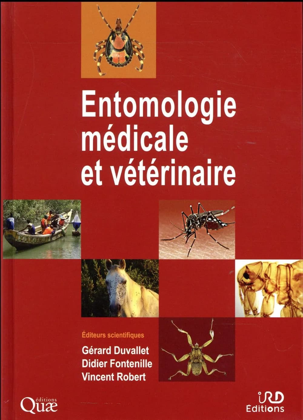 Entomologie médicale et vétérinaire