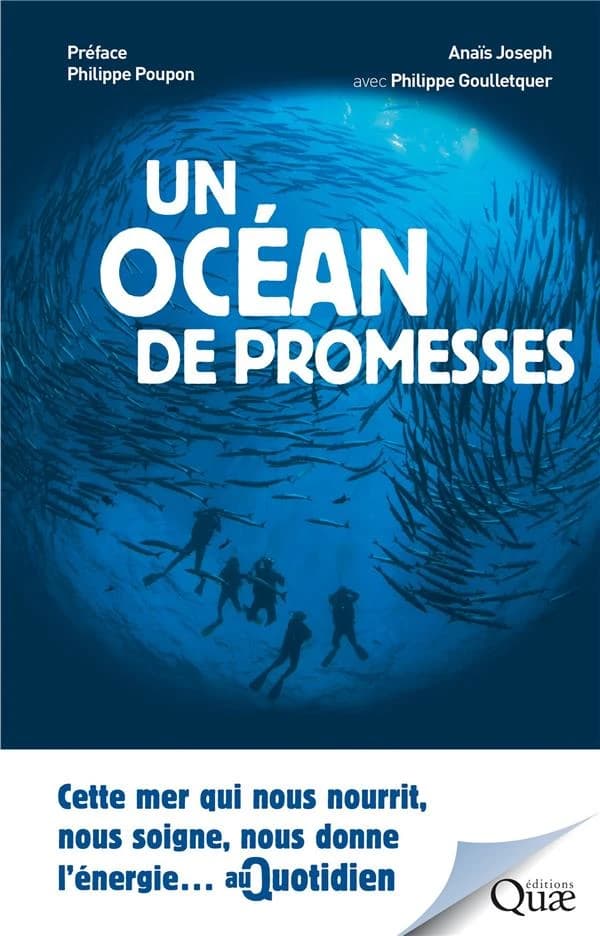 Un océan de promesses : cette mer qui nous nourrit, nous soigne, nous donne l'énergie au quotidien