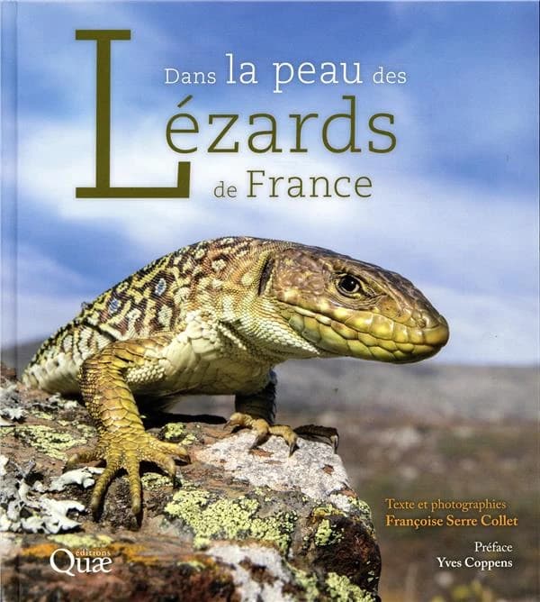 Dans la peau des lézards de France