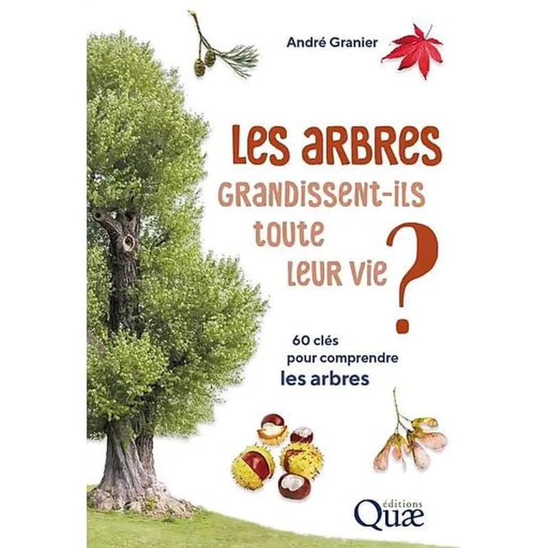 Les arbres grandissent-ils toute leur vie ?