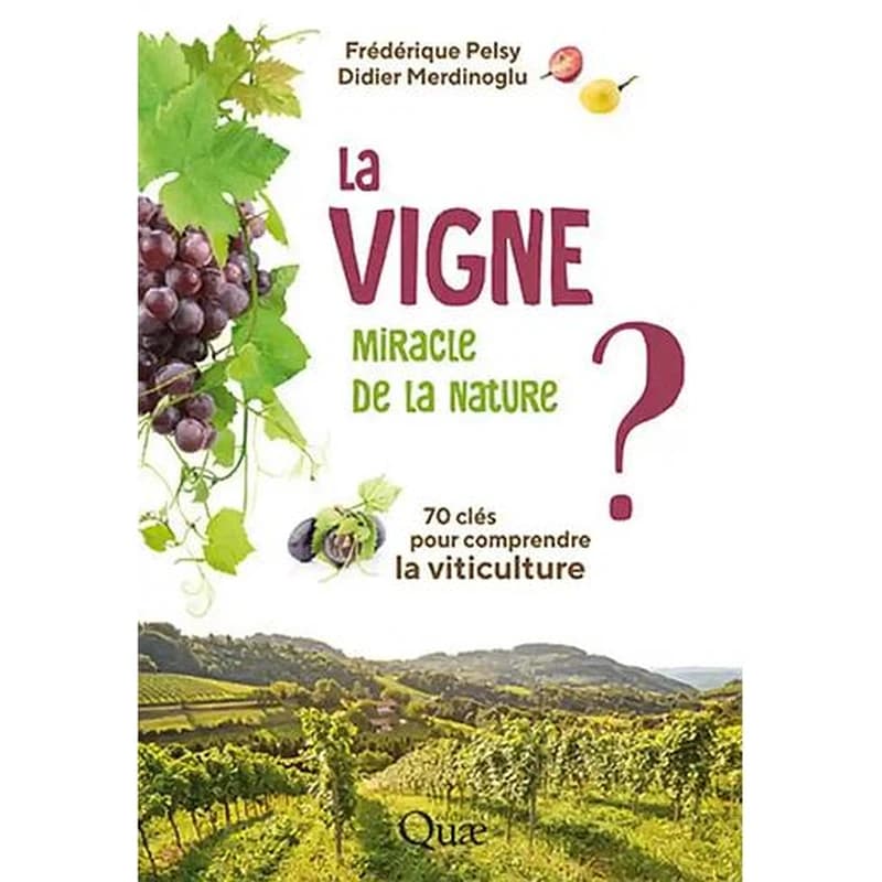 La vigne, miracle de la nature ? : 70 clés pour comprendre la viticulture ([Nouvelle éd.]) Frédérique Pelsy, Didier Merdinoglu