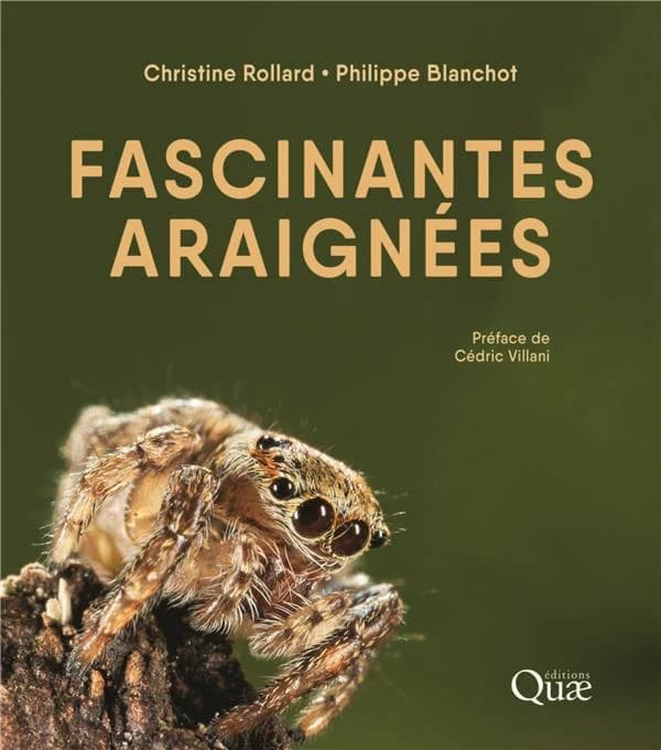 Fascinantes araignées ([3e éd.]) Christine Rollard, Philippe Blanchot ; préface de Cédric Villani