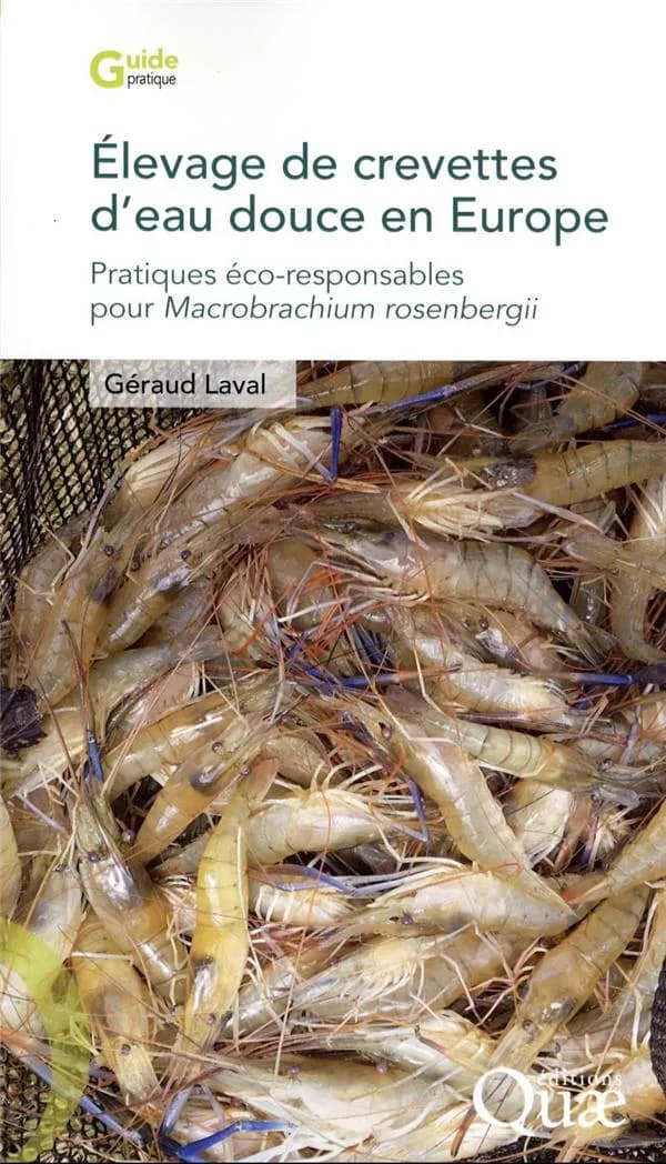 Élevage de crevettes d'eau douce en Europe : pratiques éco-responsables pour Macrobrachium rosenbergii