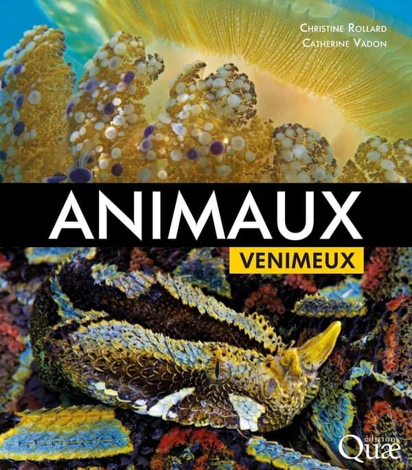 Animaux venimeux
