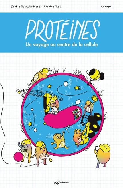 Protéines : un voyage au centre de la cellule