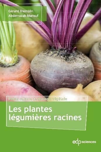 Les plantes légumières : racines