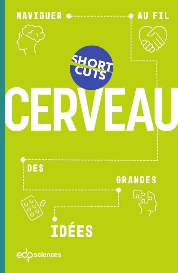 CERVEAU