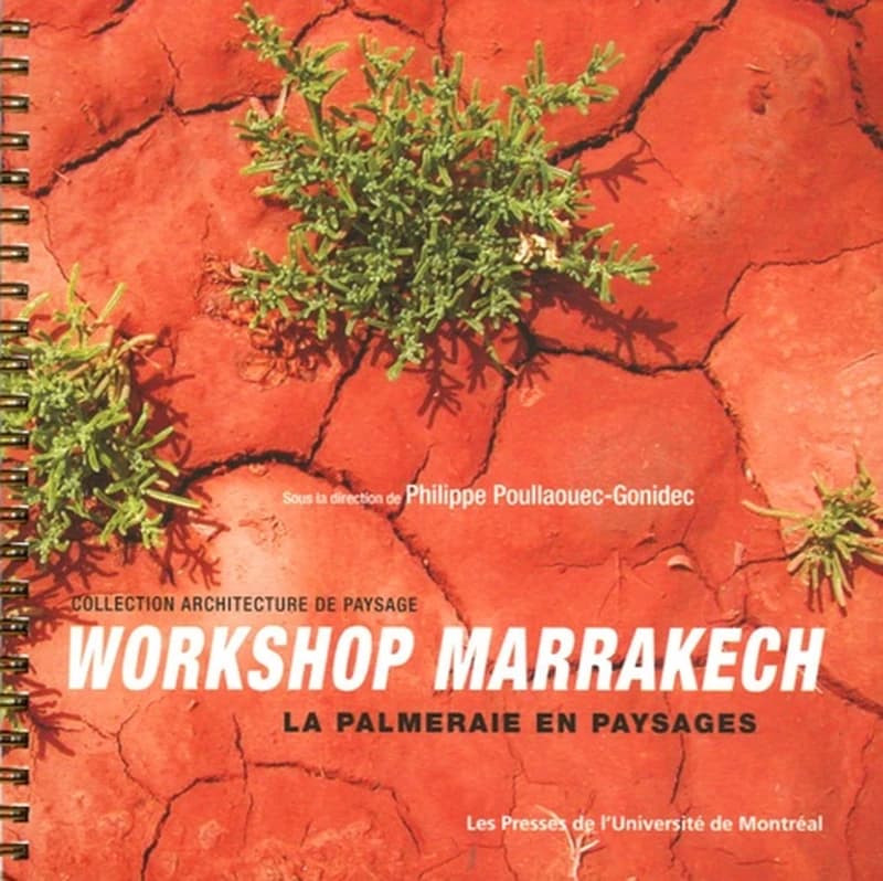 Workshop Marrakech : la palmeraie en paysages