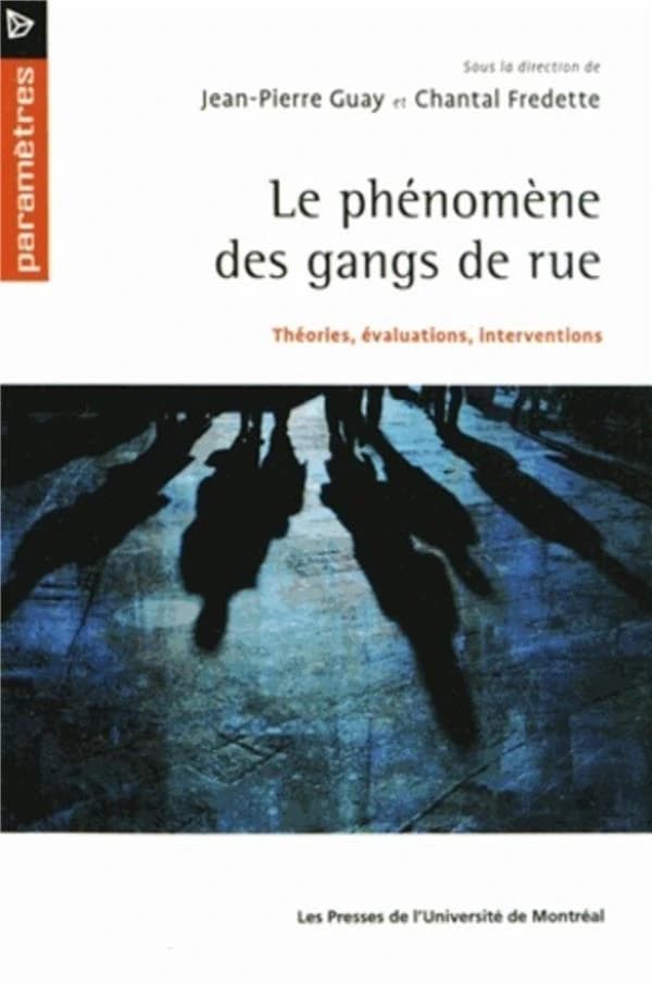 Le phénomène des gangs de rue : théories, évaluations, interventions