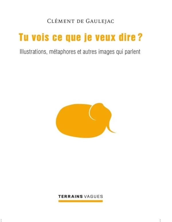 Tu vois ce que je veux dire? : Illustrations, métaphores et autres images qui parlent