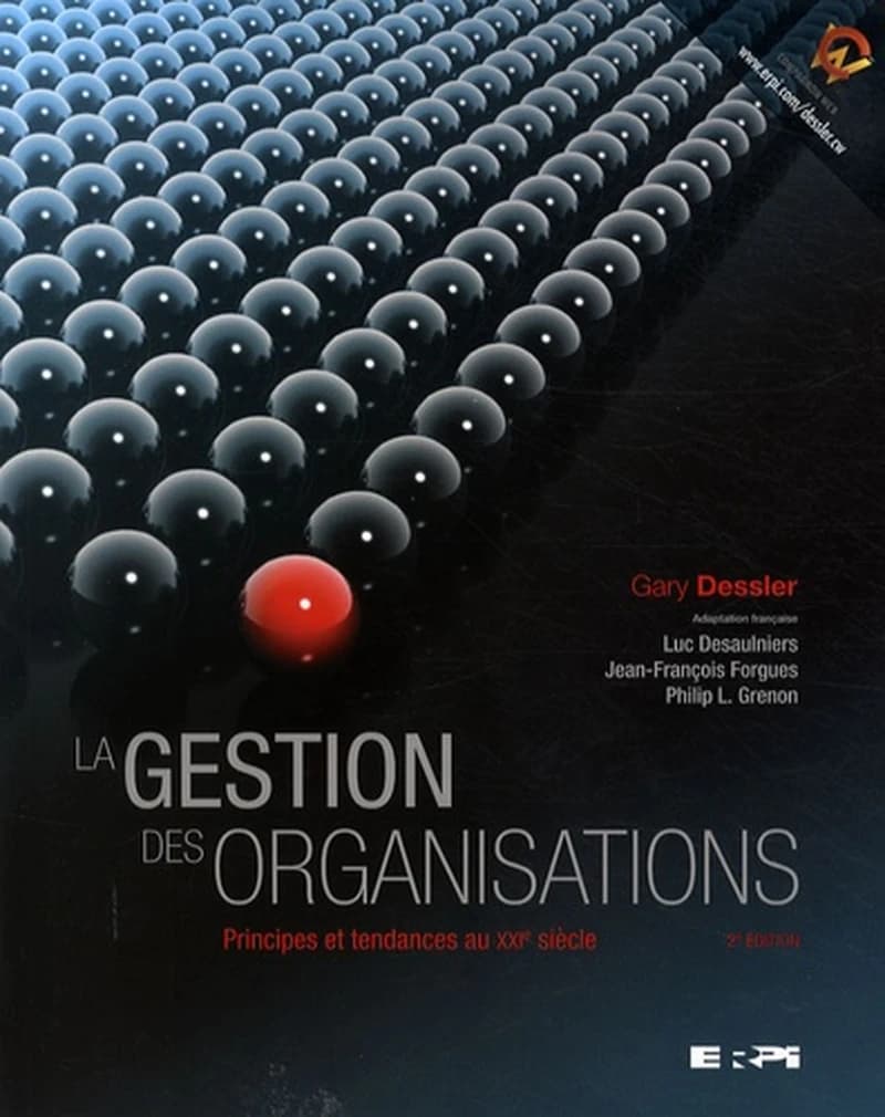 GESTION DES ORGANISATIONS 2E ED