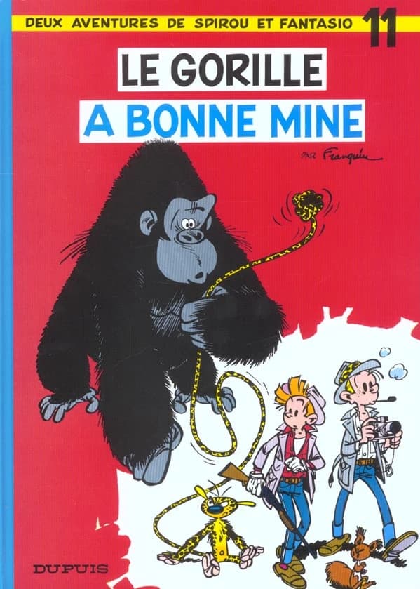 Le Gorille a bonne mine