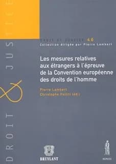 Les mesures relatives aux étrangers à l'épreuve de la Convention européenne des droits de l'homme : actes du séminaire du 21 mars 2003