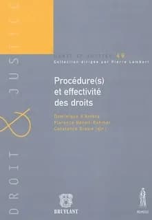 Les procedures et effectivites des droits