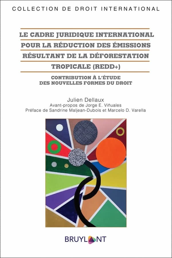 Le cadre juridique international pour la réduction des émissions résultant de la déforestation tropicale, REDD+ : contribution à l'étude des nouvelles formes du droit